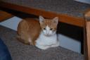 DSC_1006-128.jpg