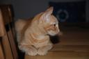 DSC_1061-128.jpg
