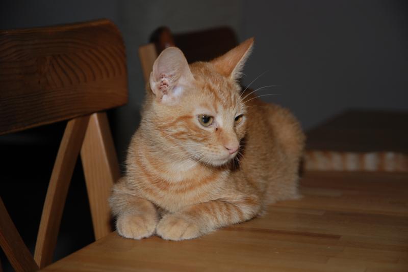 DSC_1062.jpg