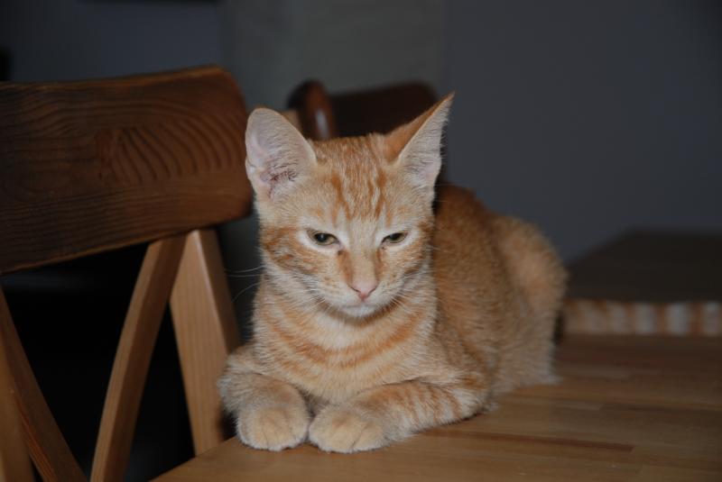 DSC_1063.jpg