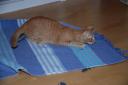 DSC_1067-128.jpg