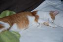 DSC_1114-128.jpg