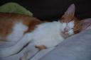 DSC_1116-128.jpg