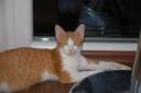 DSC_1136-128.jpg