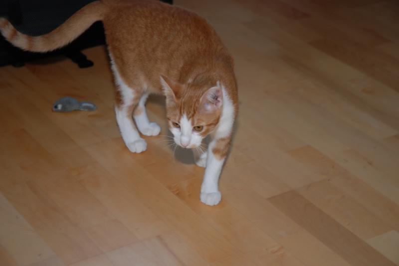 DSC_1140.jpg