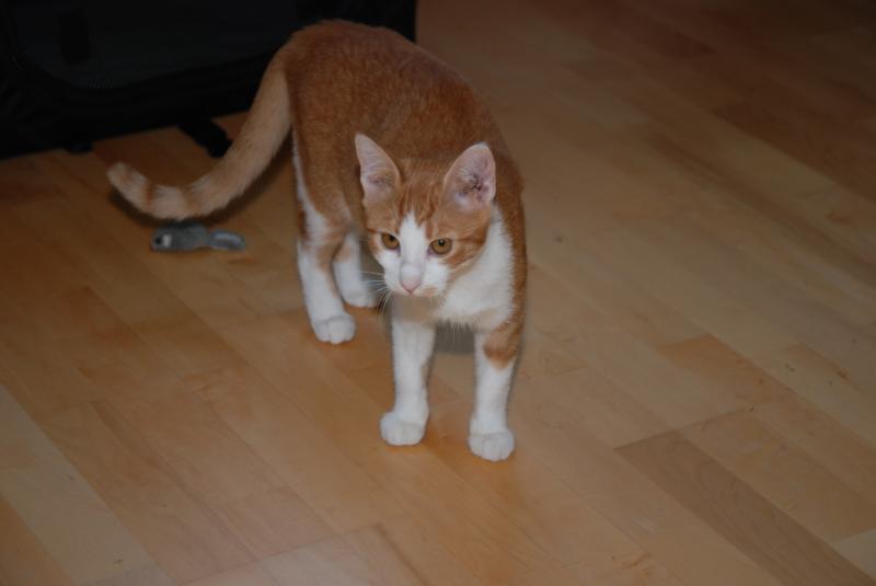 DSC_1141.jpg