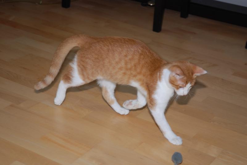 DSC_1143.jpg