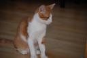 DSC_1163-128.jpg