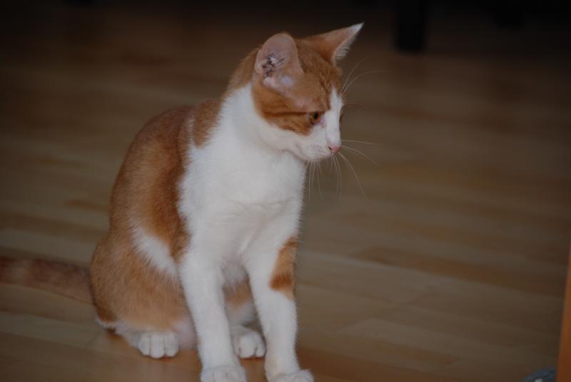DSC_1163.jpg