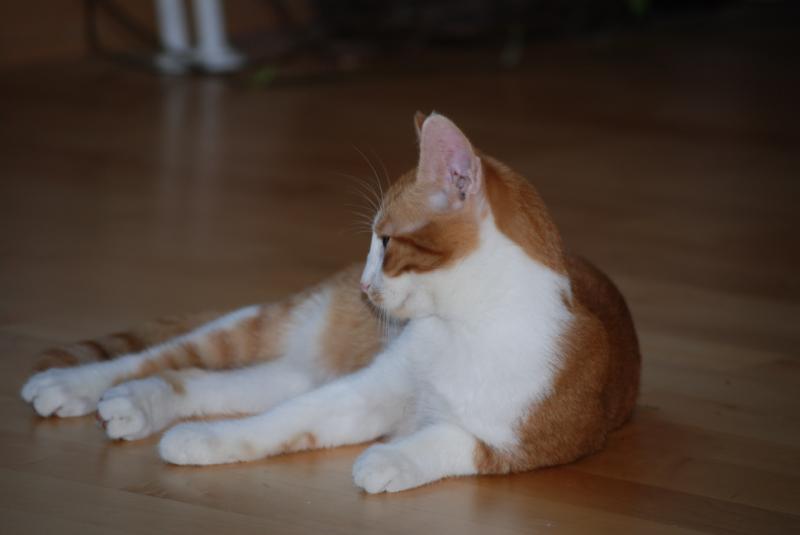 DSC_1164.jpg