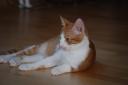 DSC_1165-128.jpg