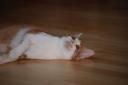 DSC_1166-128.jpg