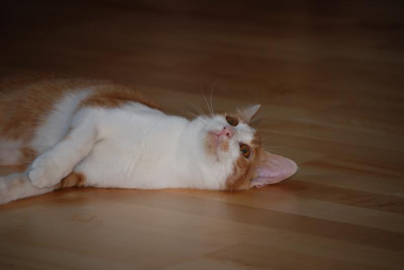 DSC_1166.jpg