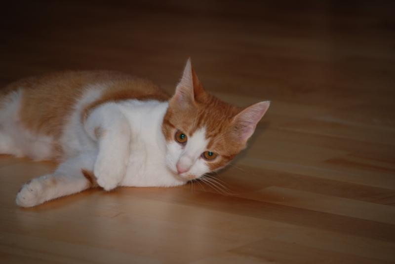 DSC_1167.jpg