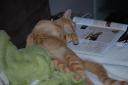 DSC_1181-128.jpg