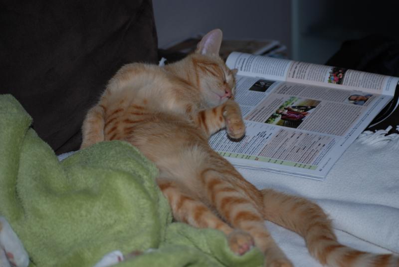 DSC_1181.jpg
