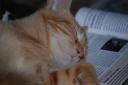DSC_1182-128.jpg