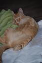 DSC_1185-128.jpg
