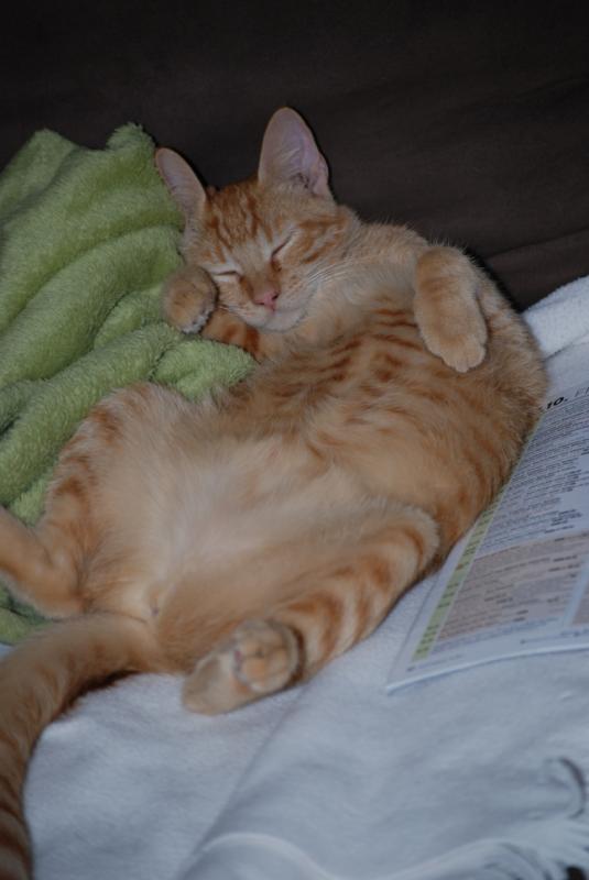 DSC_1185.jpg