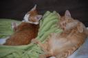 DSC_1186-128.jpg