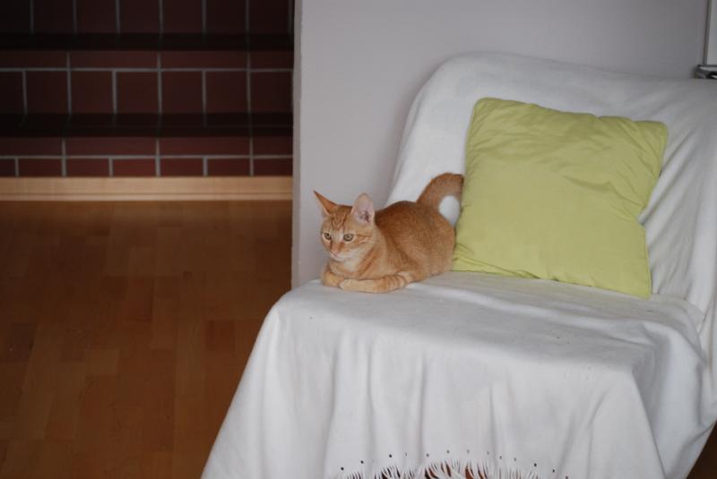 DSC_1187.jpg