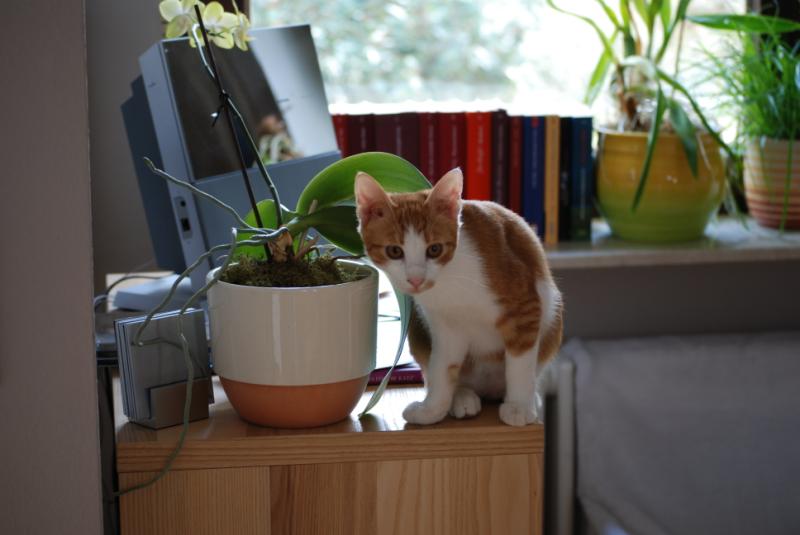DSC_1192.jpg