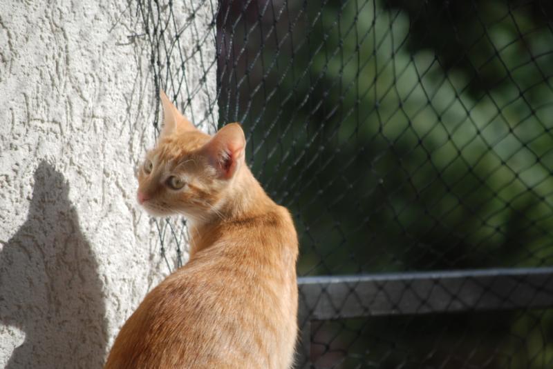 DSC_1197.jpg