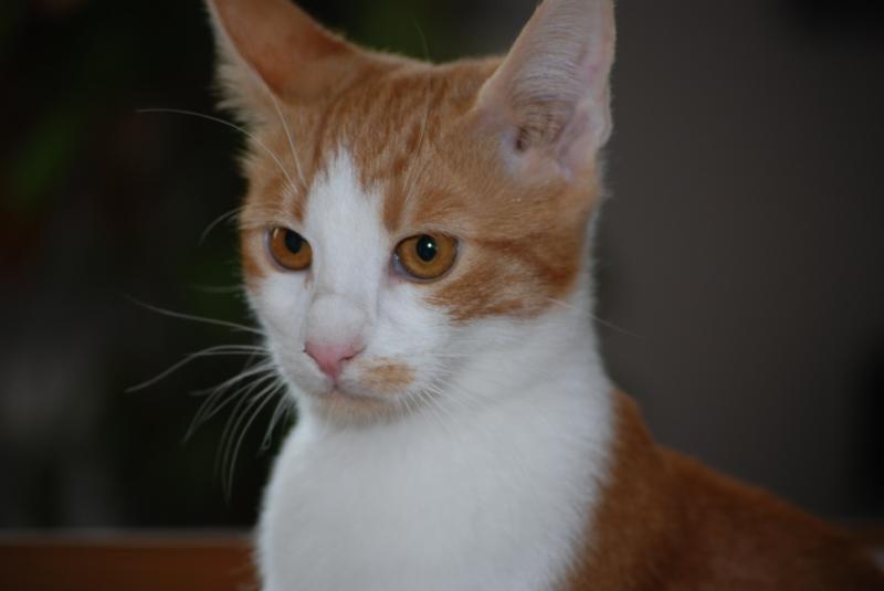 DSC_1201.jpg