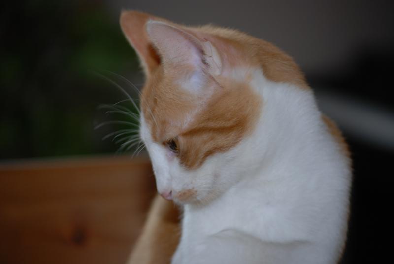 DSC_1202.jpg