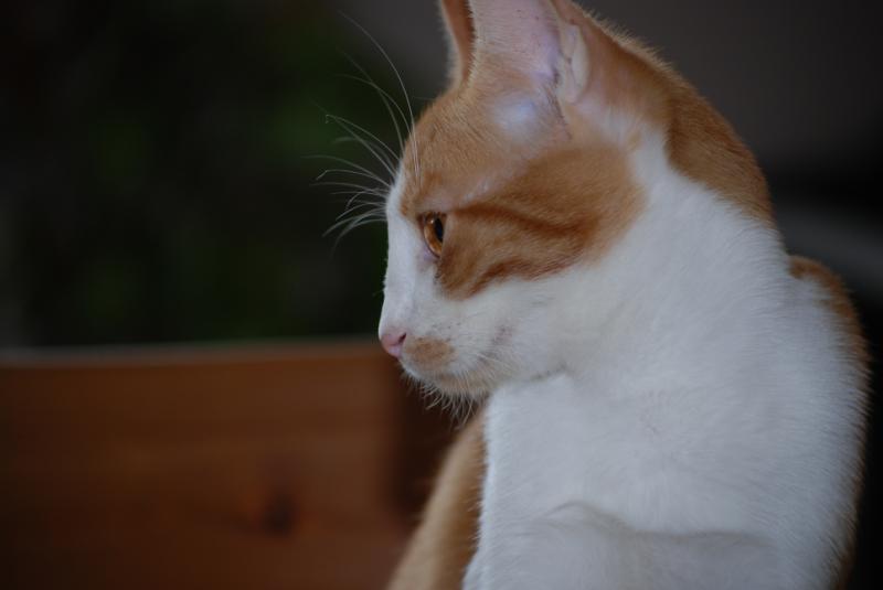 DSC_1203.jpg