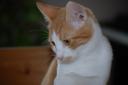 DSC_1204-128.jpg