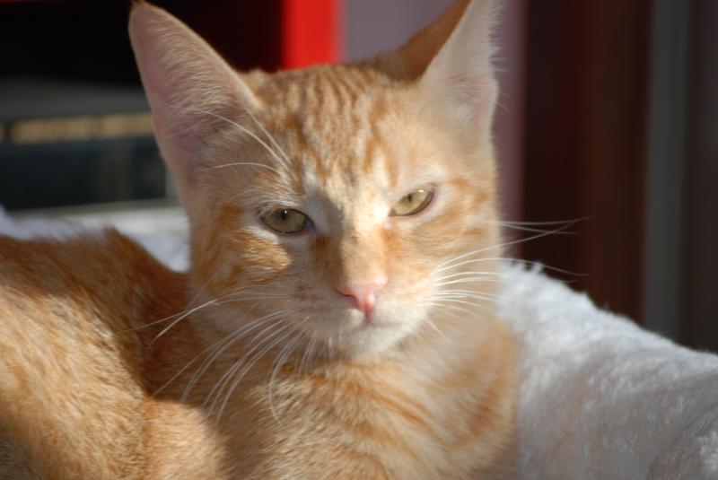 DSC_1211.jpg