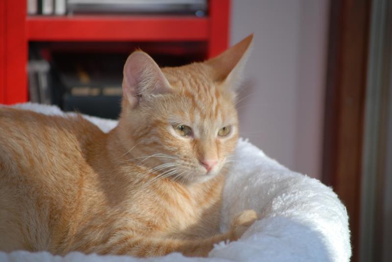 DSC_1212.jpg