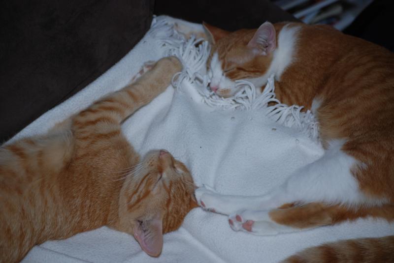 DSC_1213.jpg