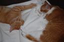 DSC_1214-128.jpg