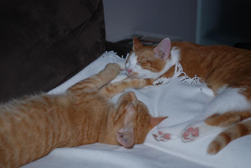 DSC_1227.jpg