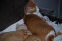 DSC_1229-128.jpg