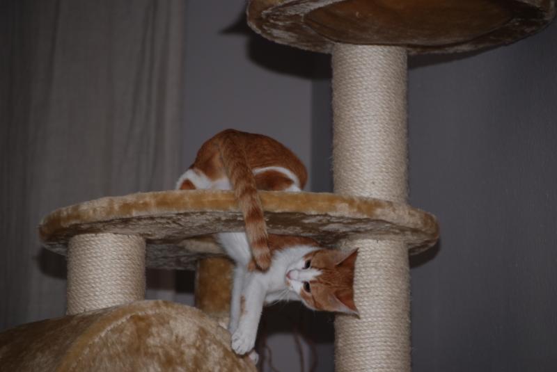 DSC_1239.jpg