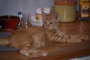 DSC_1240-128.jpg