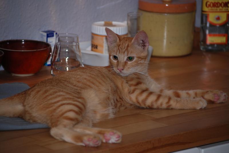 DSC_1240.jpg