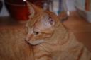DSC_1242-128.jpg