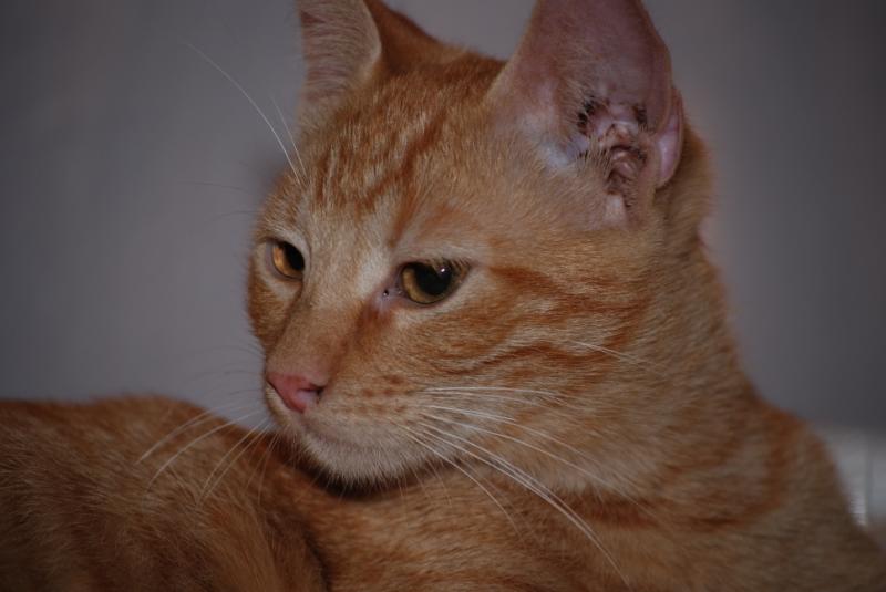 DSC_1243.jpg