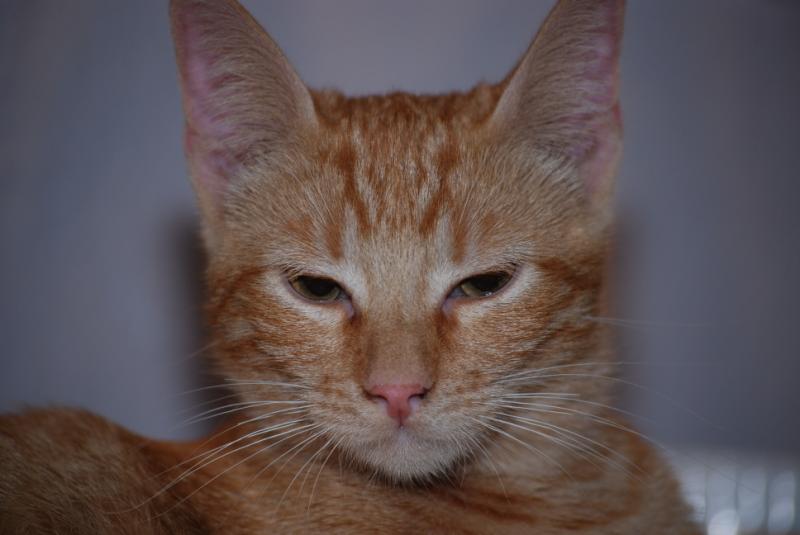 DSC_1244.jpg