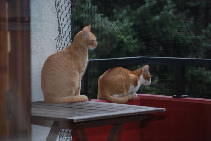 DSC_1245.jpg