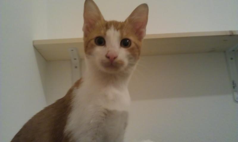 IMAG0153.jpg
