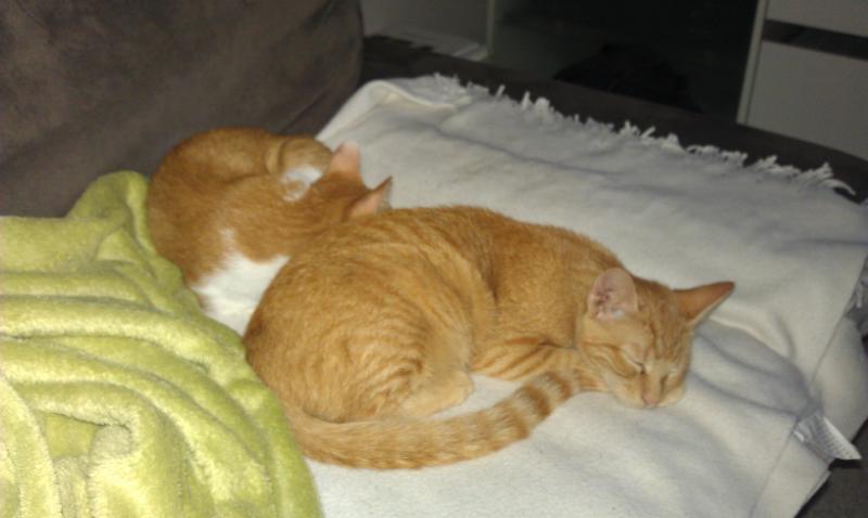 IMAG0165.jpg