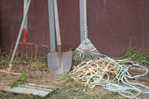 Fotosession Oktober 2016: Pferde